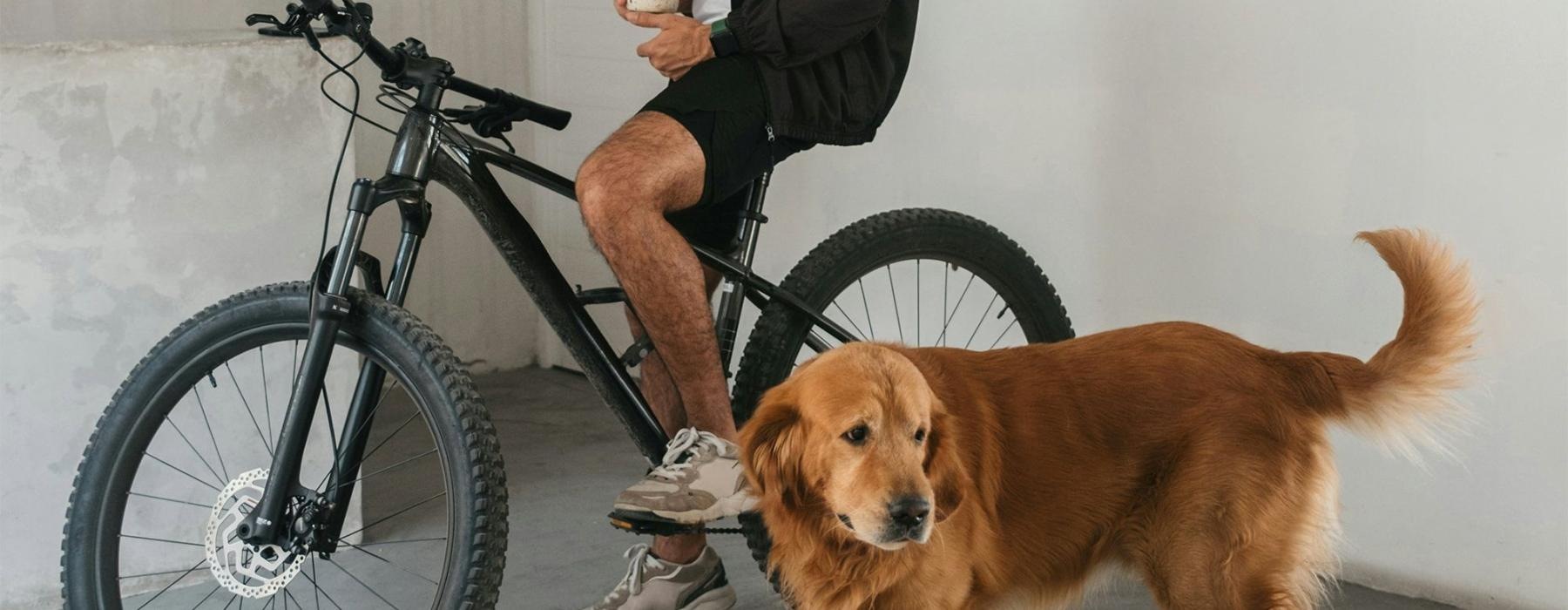 a man sitting on a bike next to a dog
